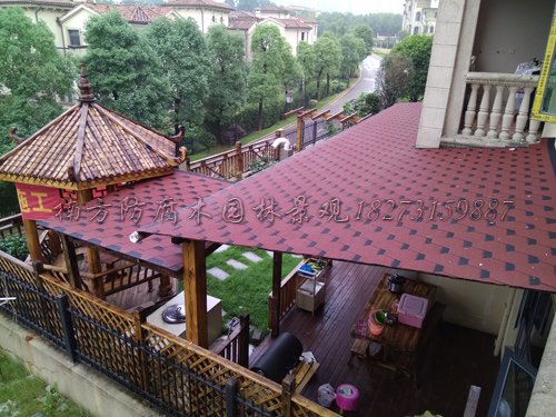 ľݶ.jpg